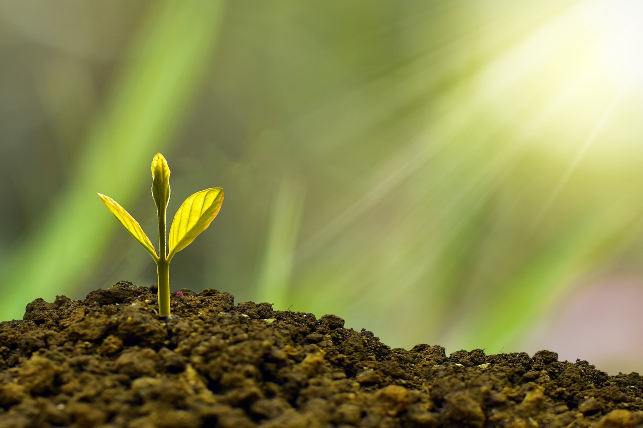 Confidence – How it Affects Business Decisions?